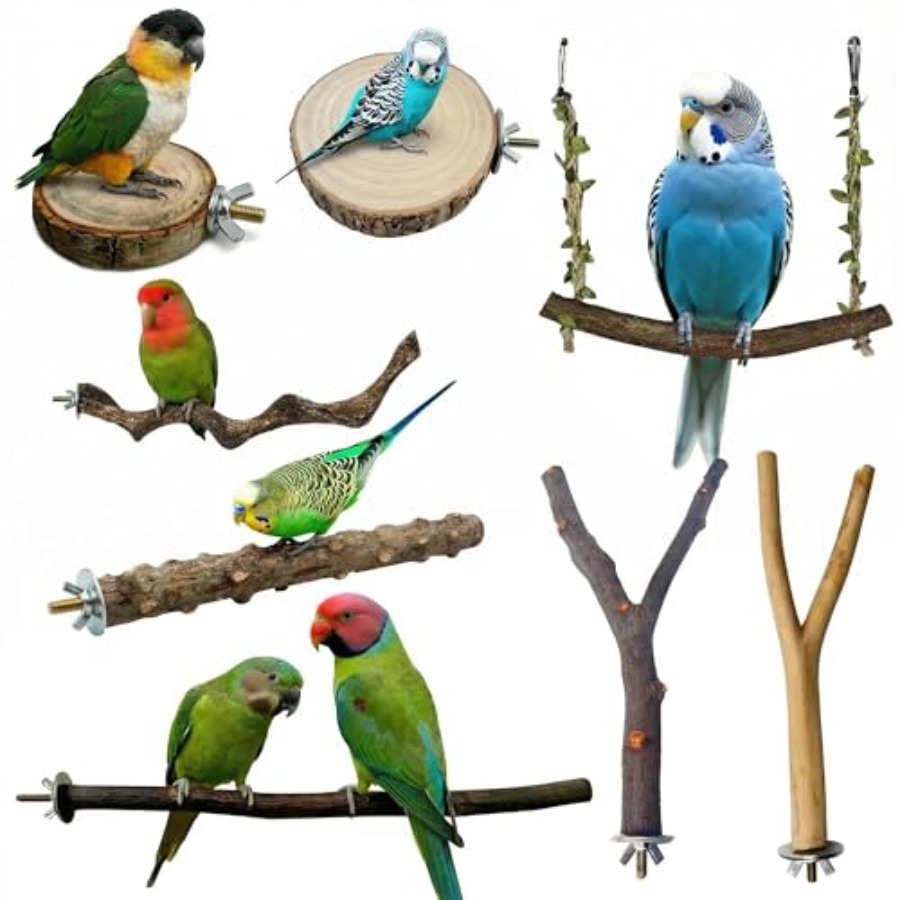 Health & Wellness Focus - 8PCS tempat bertengger burung dari kayu