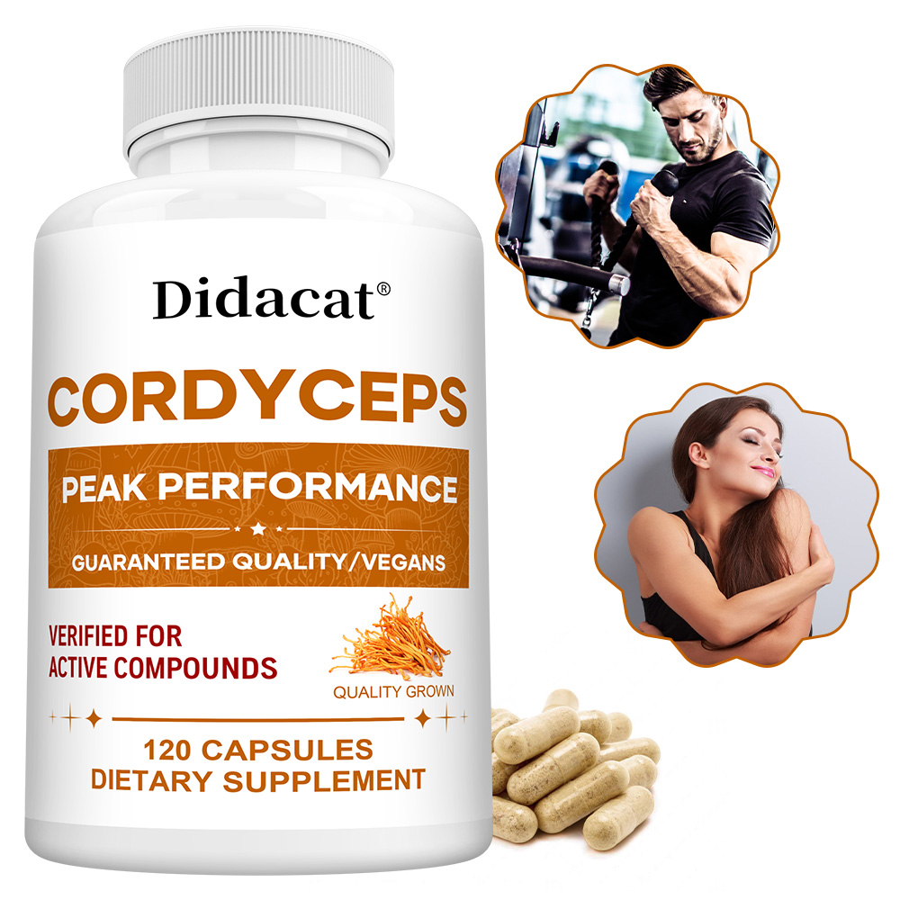 Health Wellness Day - Kapsul Jamur Cordyceps 1000mg, Suplemen Kesehatan
