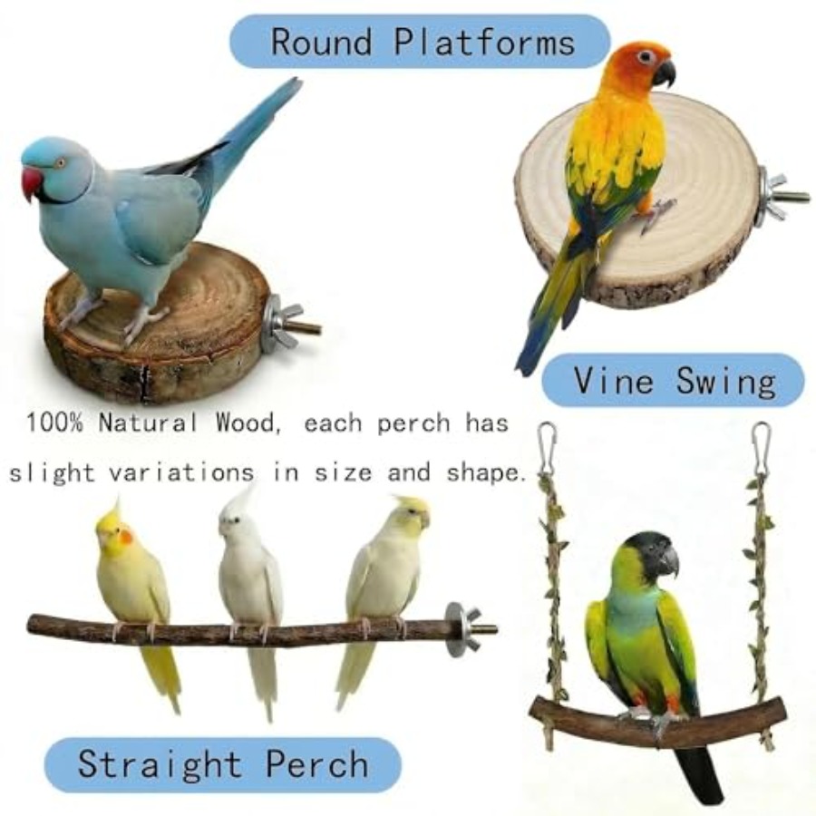 8PCS tempat bertengger burung  - Health & Wellness Focus ulasan dan harga