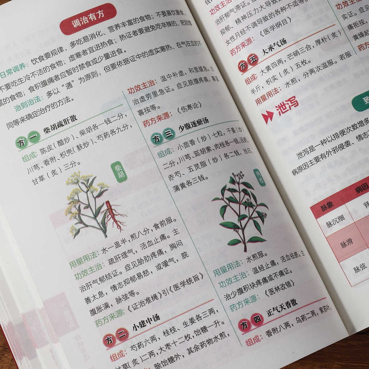Buku Kesehatan Belajar Mandiri - Health & Wellness Focus ulasan dan harga